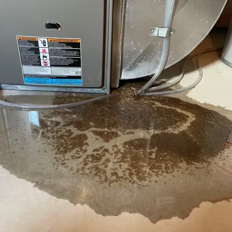 Appliance Leak Cleanup in Hemphill County, TX